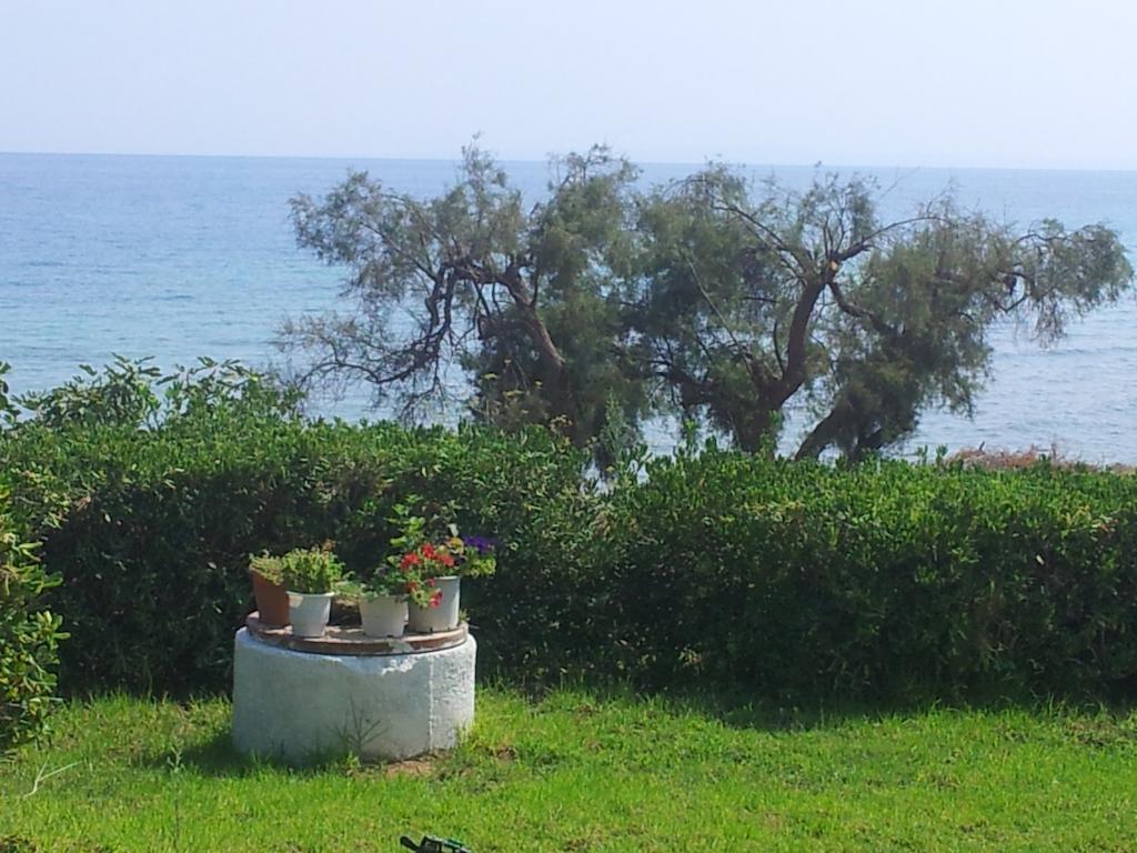 Beach Bungalows Kypseli Pokój zdjęcie